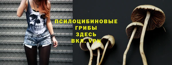 гашик Зерноград