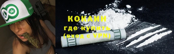 гашик Зерноград