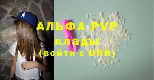 гашик Зерноград
