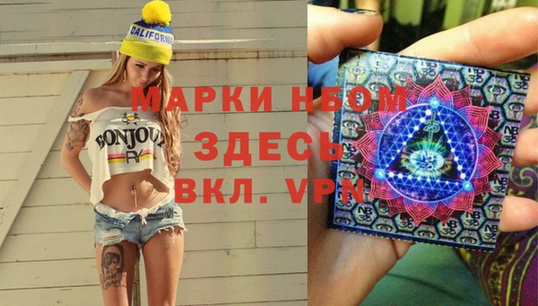гашик Зерноград