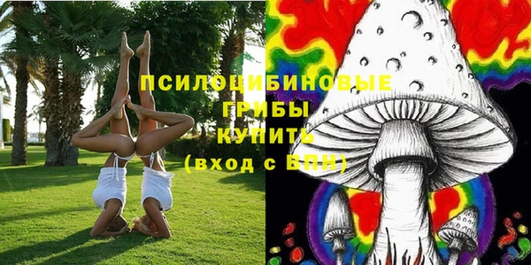 гашик Зерноград